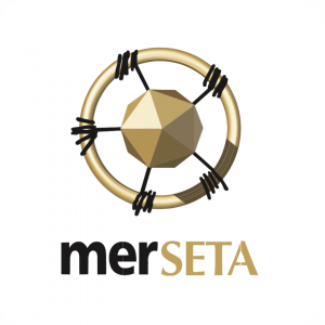 MER SETA Logo