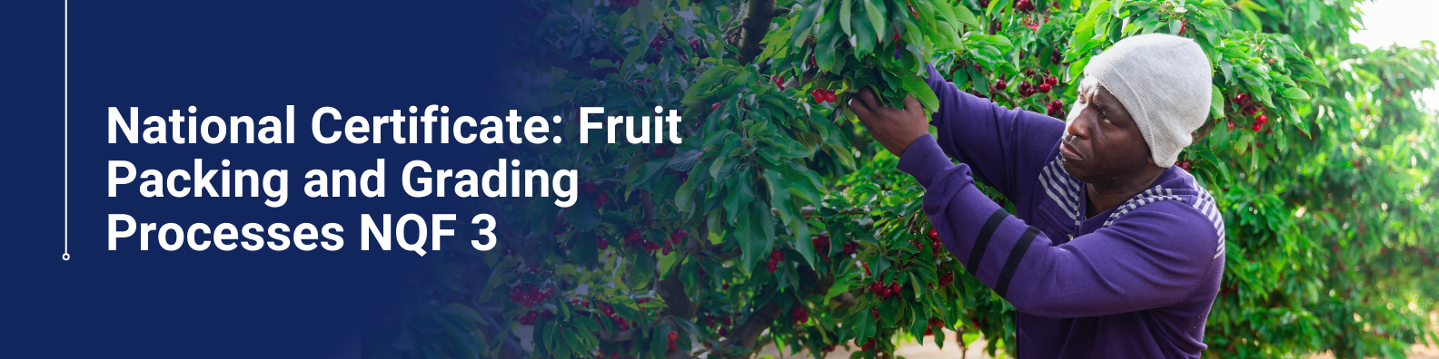 National Certificate Fruit Packing and Grading Processes NQF 3