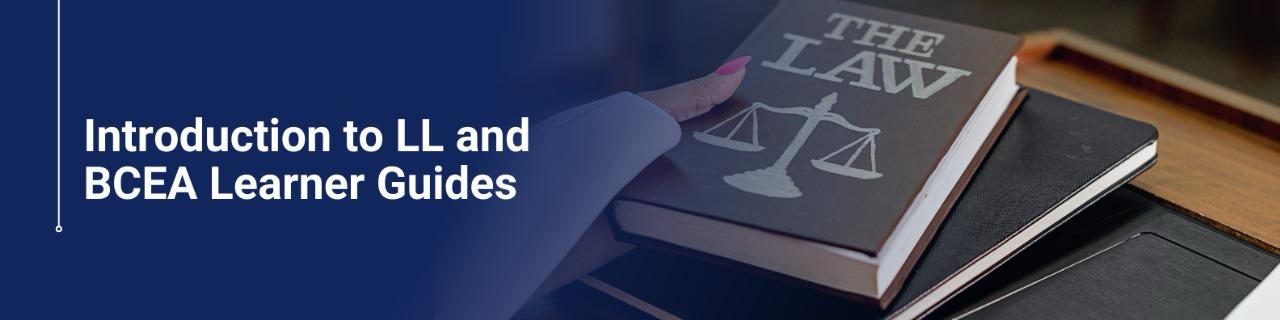 Introduction to LL and BCEA Learner Guide