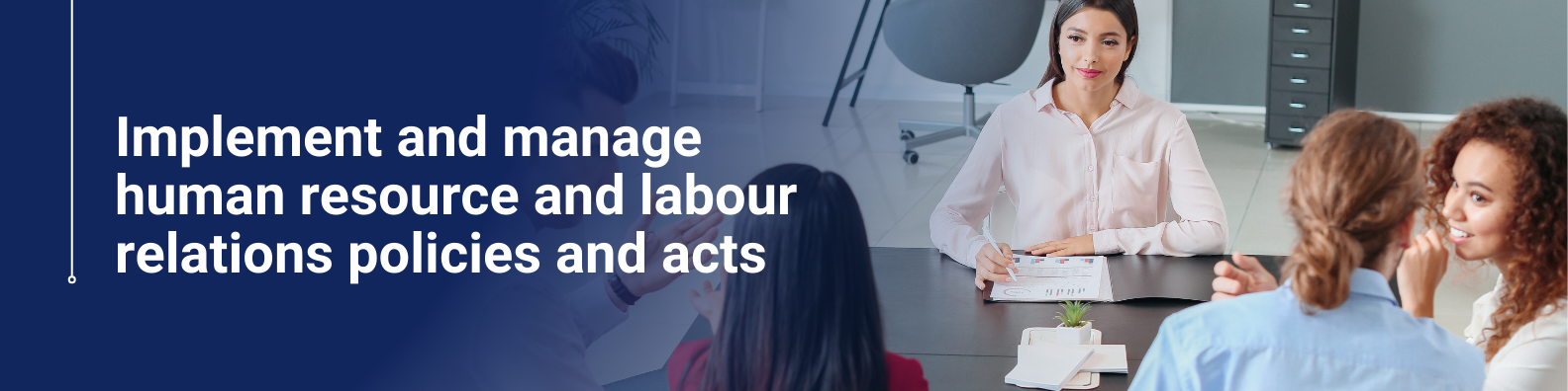 Human Resource Management and Labour Relations Policy Implementation | Online Course​