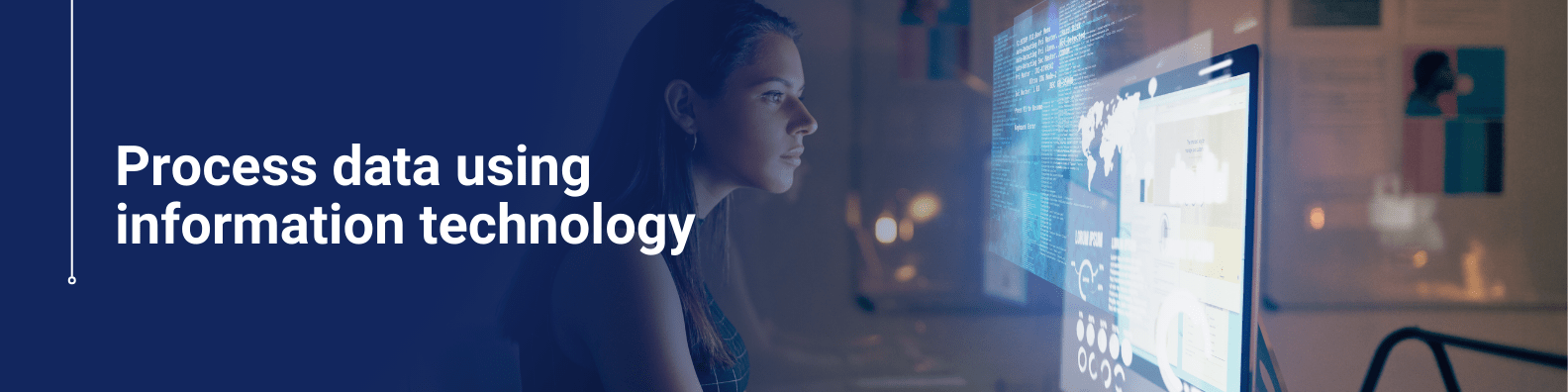 IT data management Course